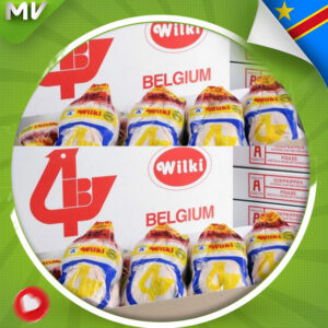 Poulet wilki